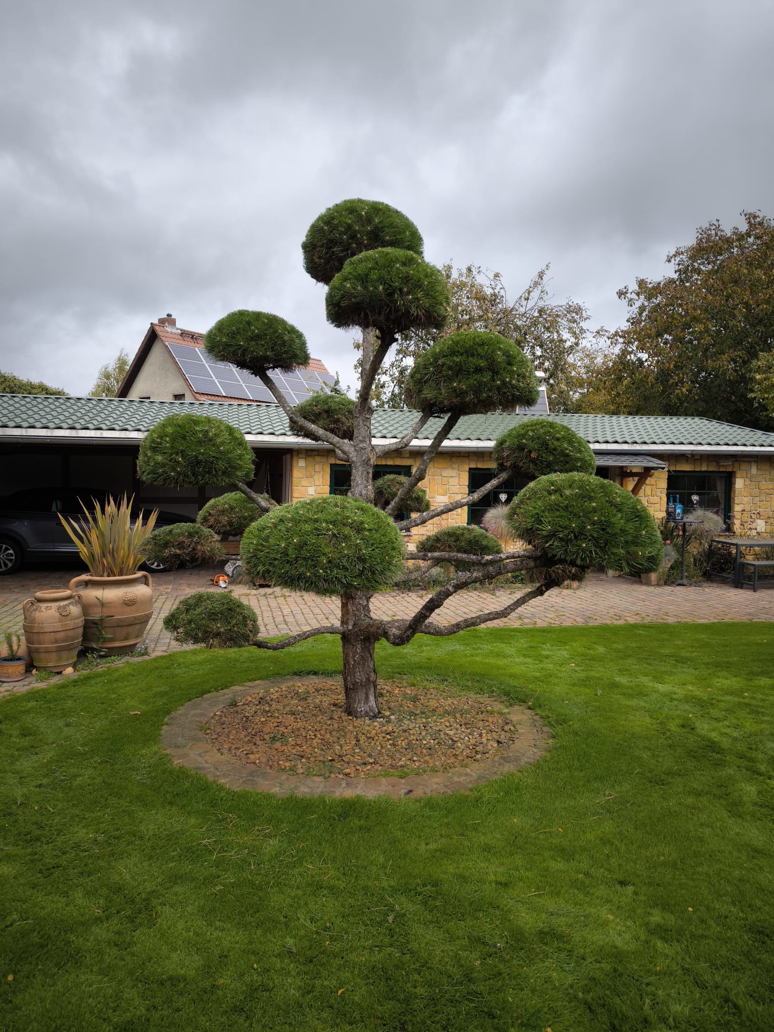 Gartenpflege – Hecke